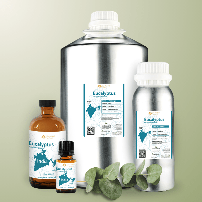 Eucalyptus Essential Oil - From Essential Oils India - Nature Packaged
