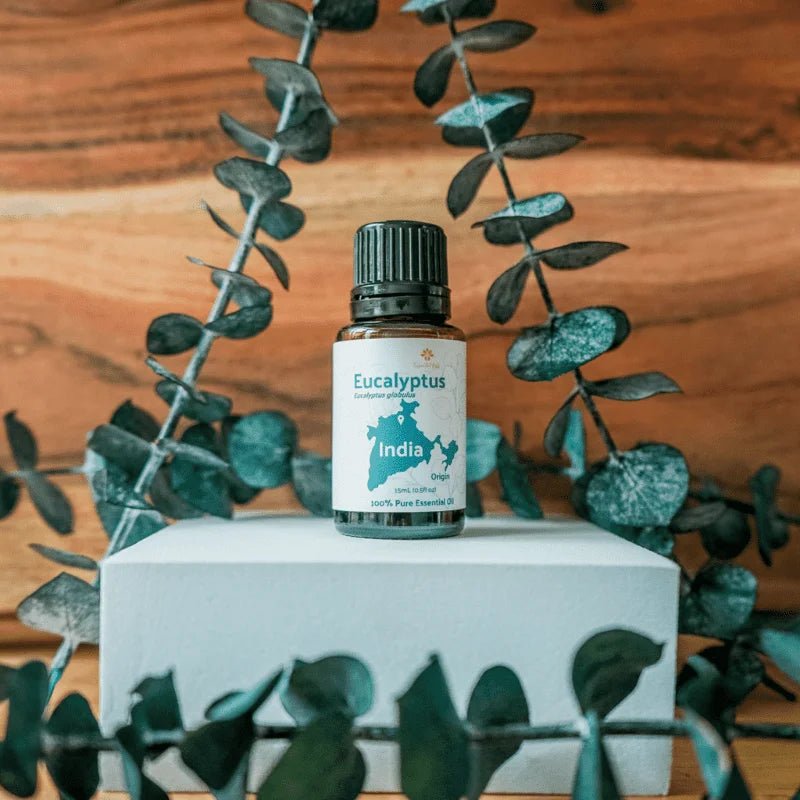 Eucalyptus Essential Oil - From Essential Oils India - Nature Packaged