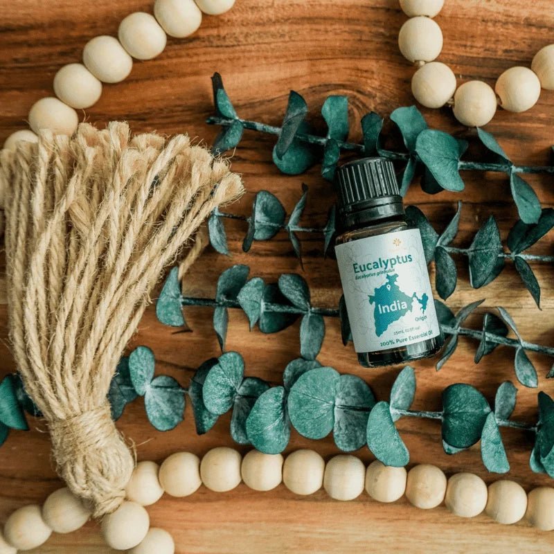Eucalyptus Essential Oil - From Essential Oils India - Nature Packaged