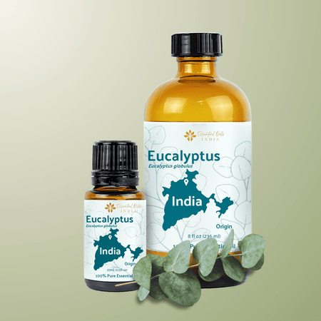 Eucalyptus Essential Oil - From Essential Oils India