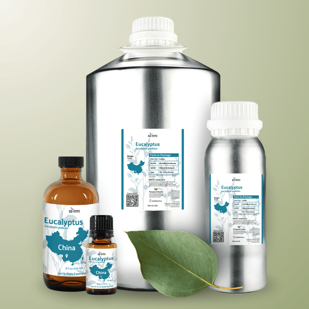 Eucalyptus Essential Oils - From Bio - Young Aromas - Nature Packaged
