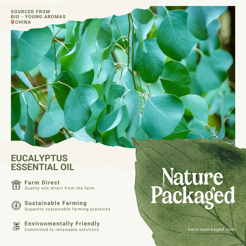 Eucalyptus Essential Oils - From Bio - Young Aromas - Nature Packaged