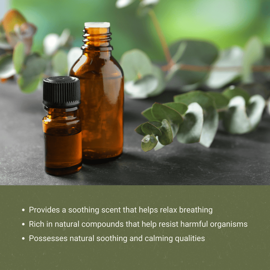 Eucalyptus Essential Oils - From Bio - Young Aromas - Nature Packaged