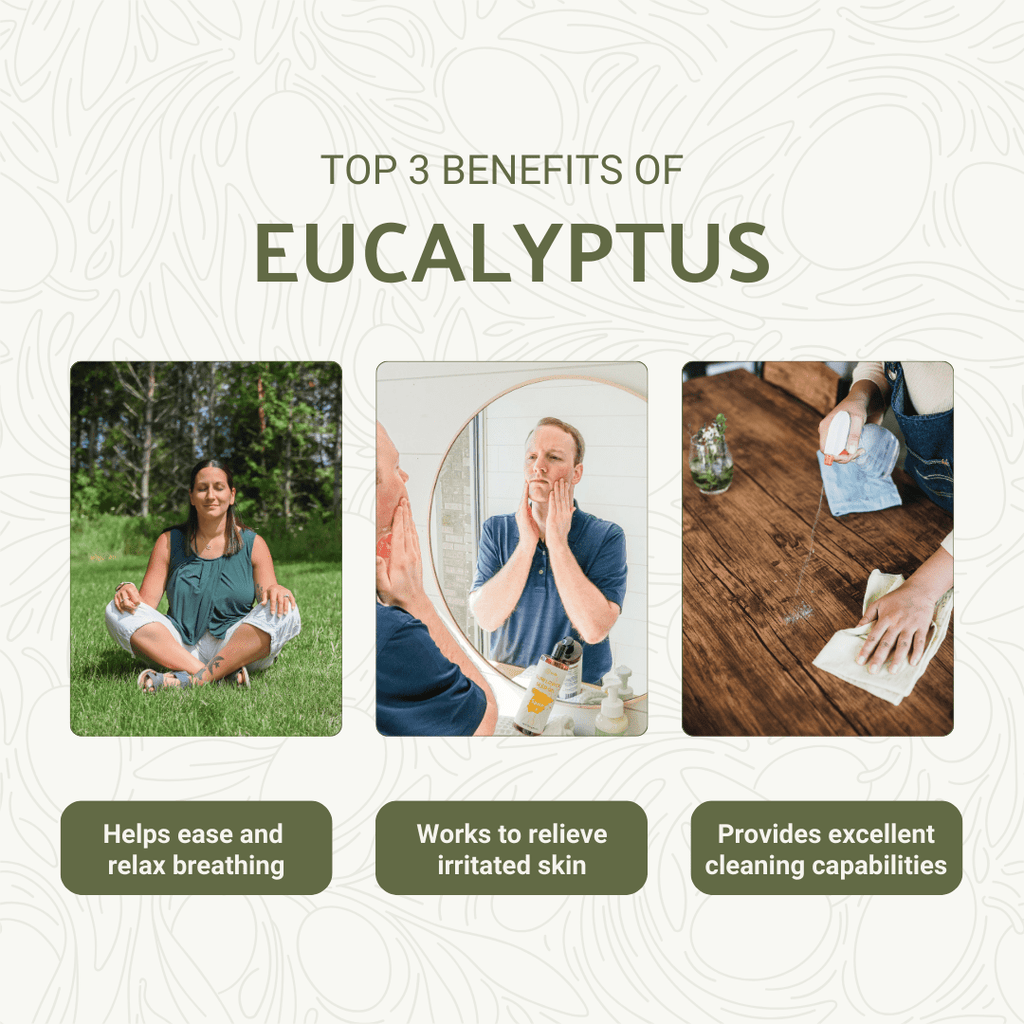 Eucalyptus Essential Oils - From Bio - Young Aromas - Nature Packaged
