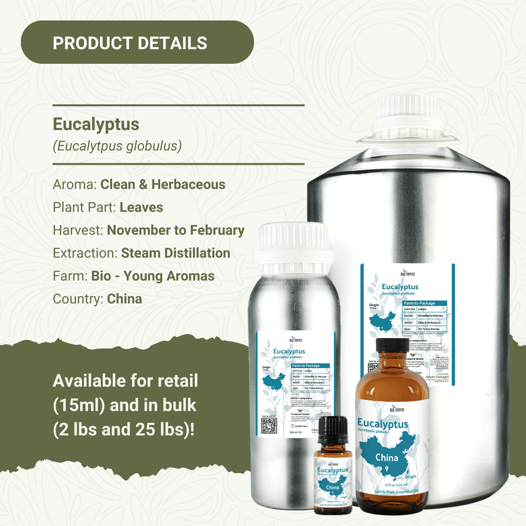 Eucalyptus Essential Oils - From Bio - Young Aromas - Nature Packaged