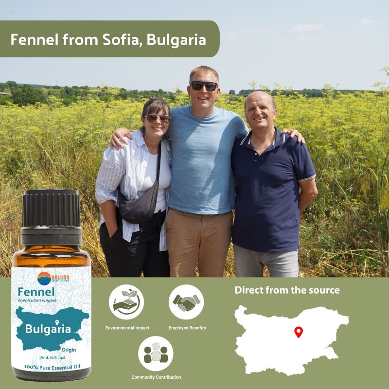 Fennel Sweet Essential Oil - From Balkan Essential Oils - Nature Packaged