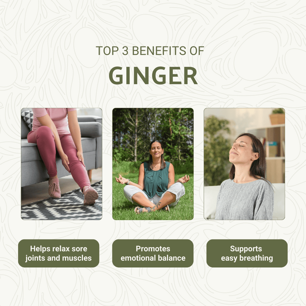Ginger Root Essential Oils - From Bio - Young Aromas - Nature Packaged