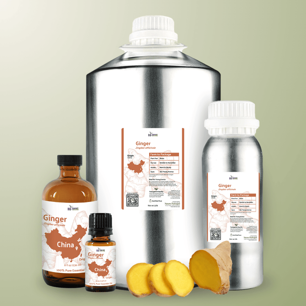 Ginger Root Essential Oils - From Bio - Young Aromas - Nature Packaged