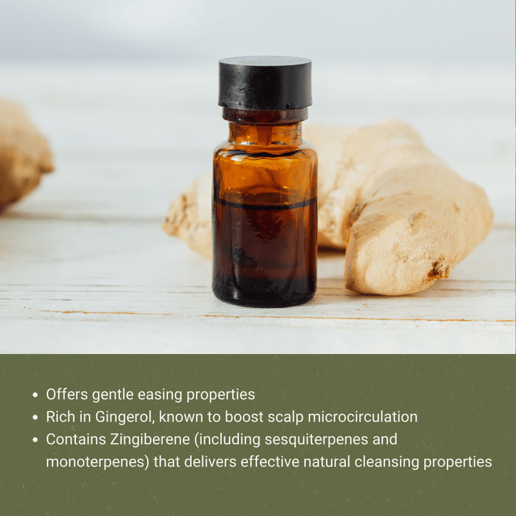 Ginger Root Essential Oils - From Bio - Young Aromas - Nature Packaged