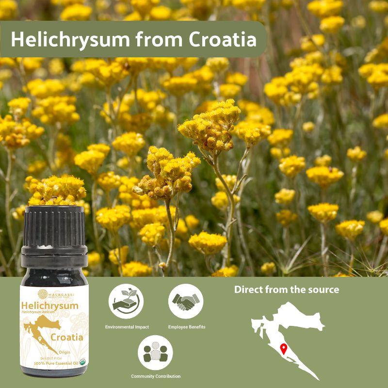 Helichrysum Essential Oil - From Malagassi Essential Oils - Nature Packaged