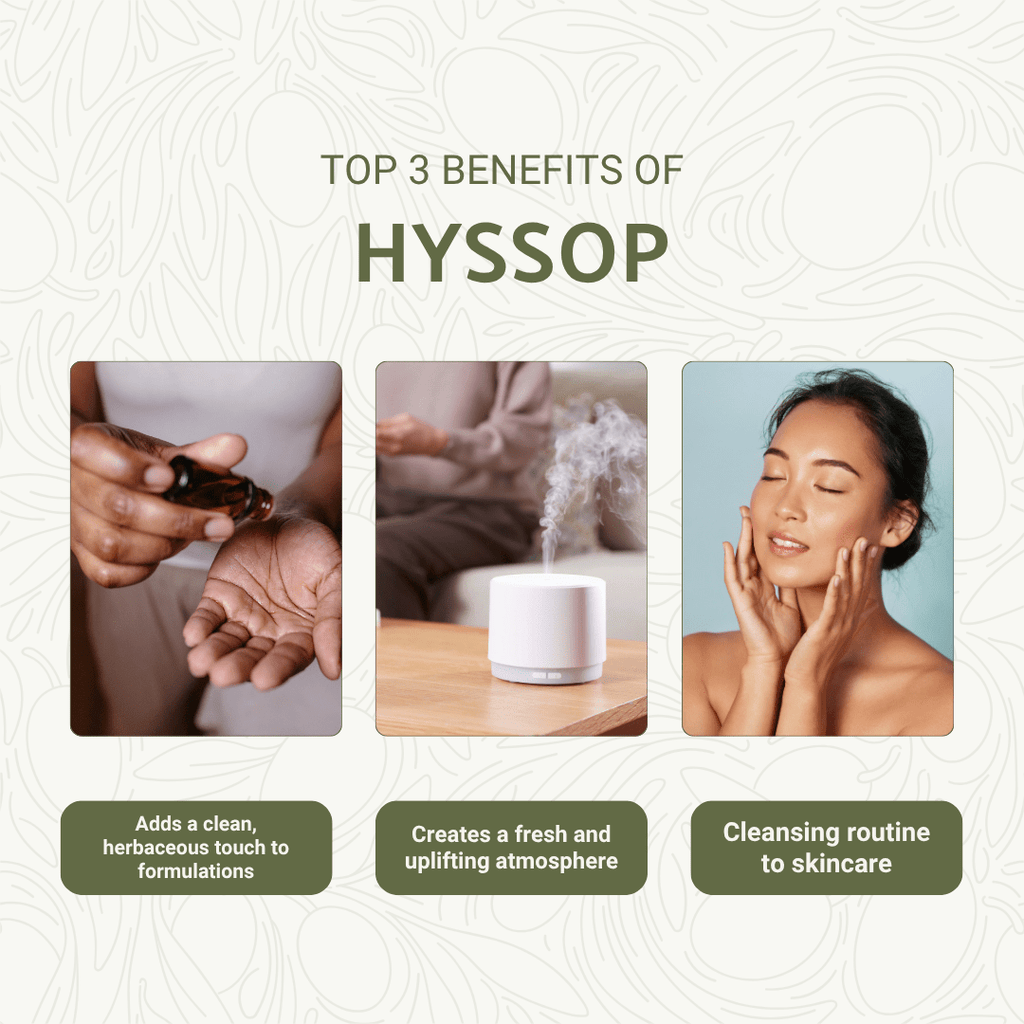 Hyssop Essential Oil - From Aromáticas Zalabí - Nature Packaged
