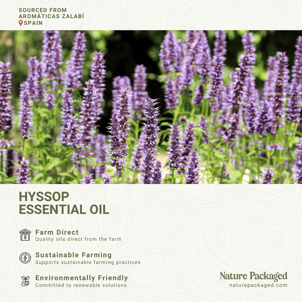 Hyssop Essential Oil - From Aromáticas Zalabí - Nature Packaged