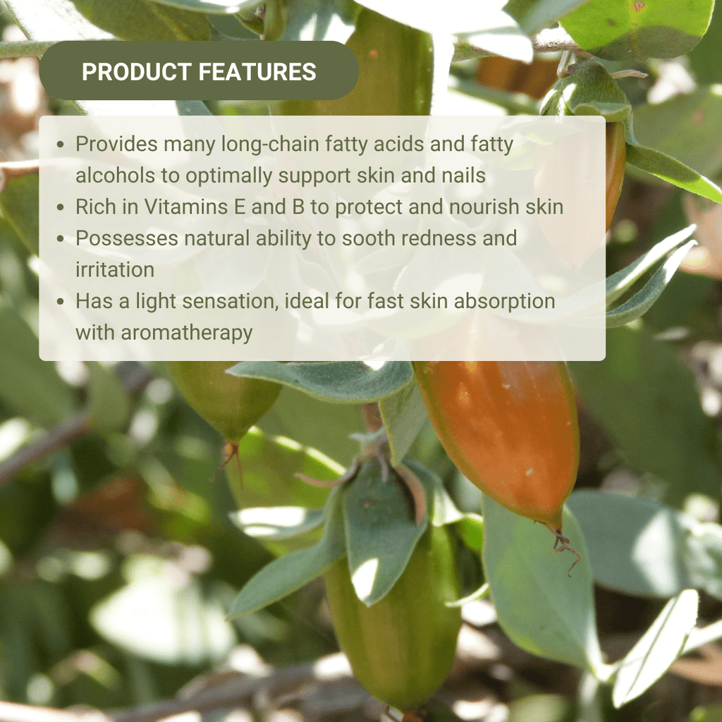 Jojoba Carrier Oil - From EIR Oils - Nature Packaged