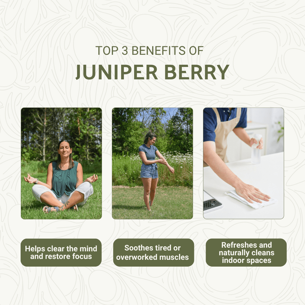 Juniper Berry Essential Oil - From NBT India - Nature Packaged