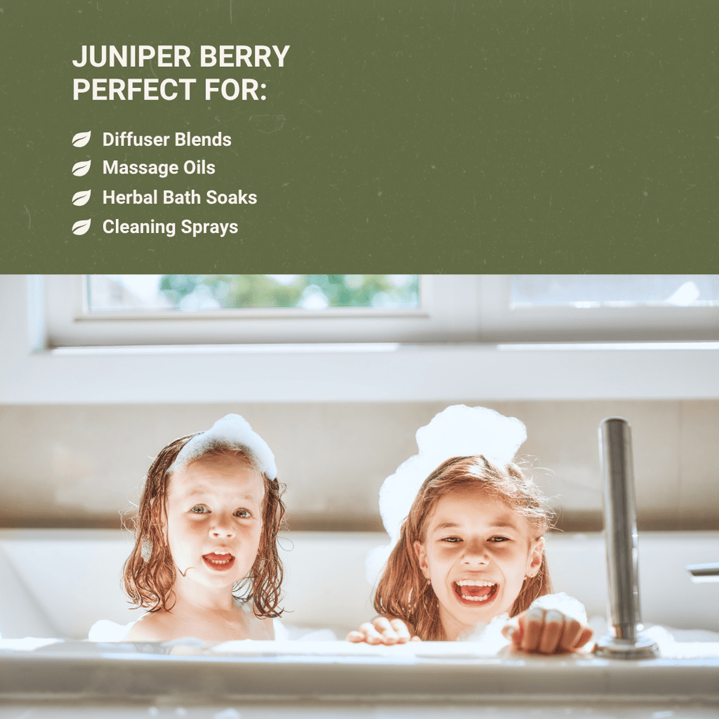 Juniper Berry Essential Oil - From NBT India - Nature Packaged