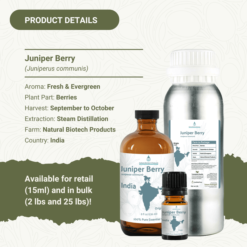 Juniper Berry Essential Oil - From NBT India - Nature Packaged