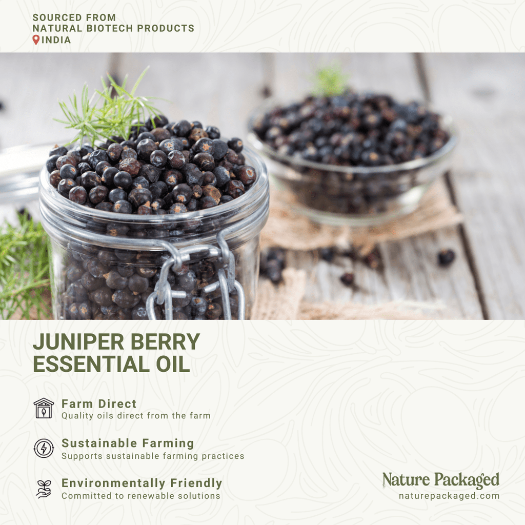 Juniper Berry Essential Oil - From NBT India - Nature Packaged
