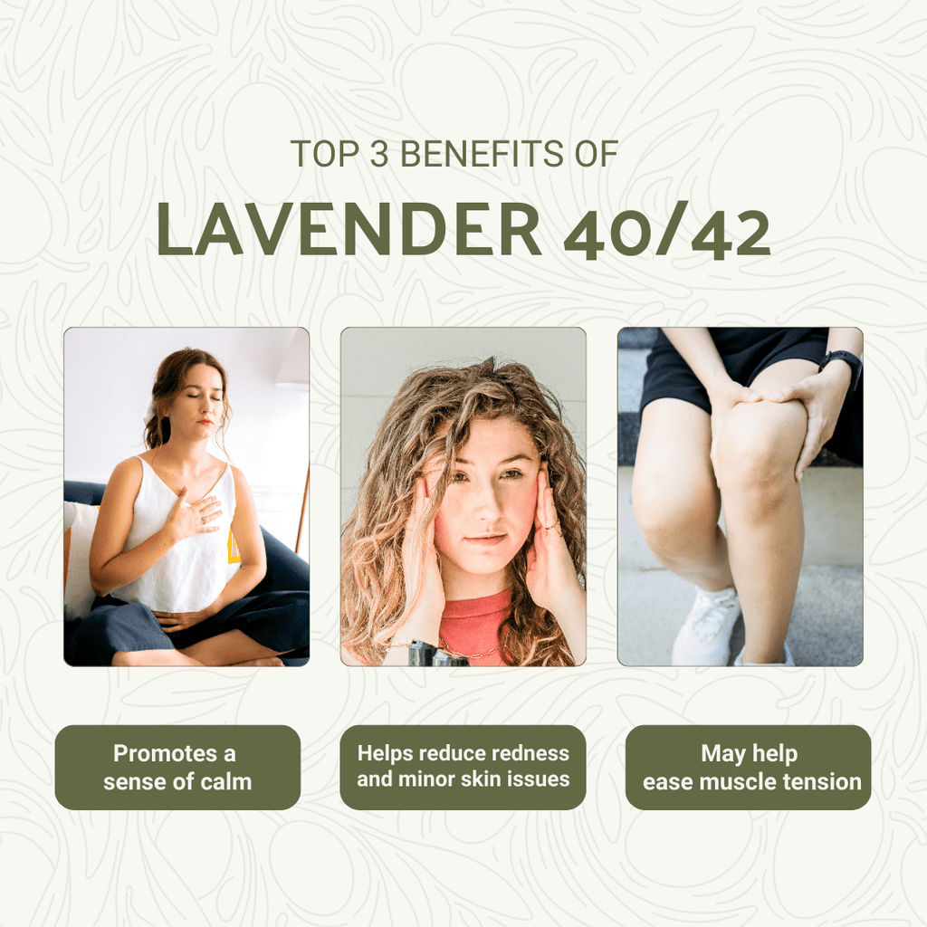 Lavender 40/42 Essential Oils - Nature Packaged