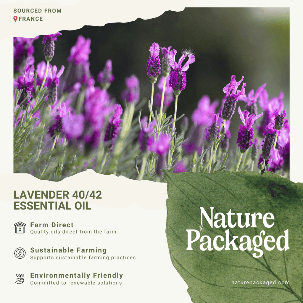 Lavender 40/42 Essential Oils - Nature Packaged