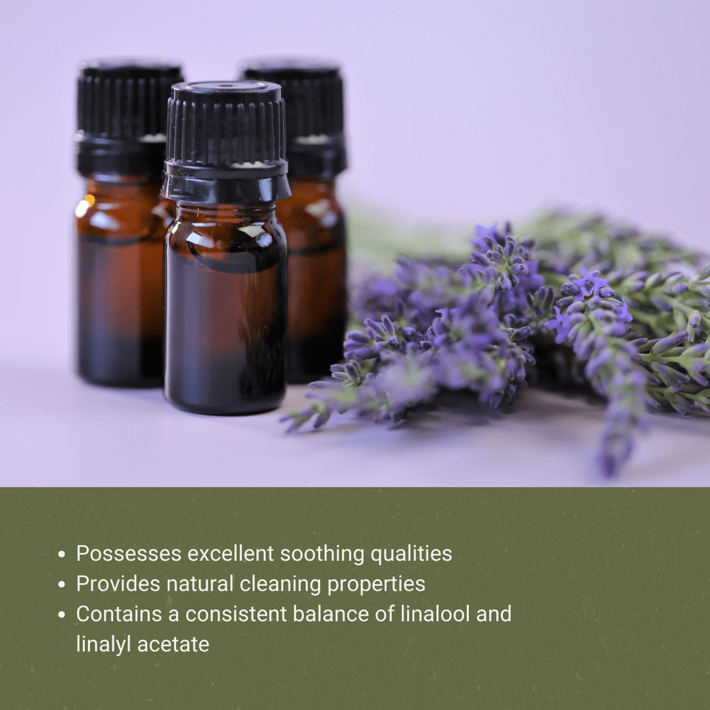 Lavender 40/42 Essential Oils - Nature Packaged