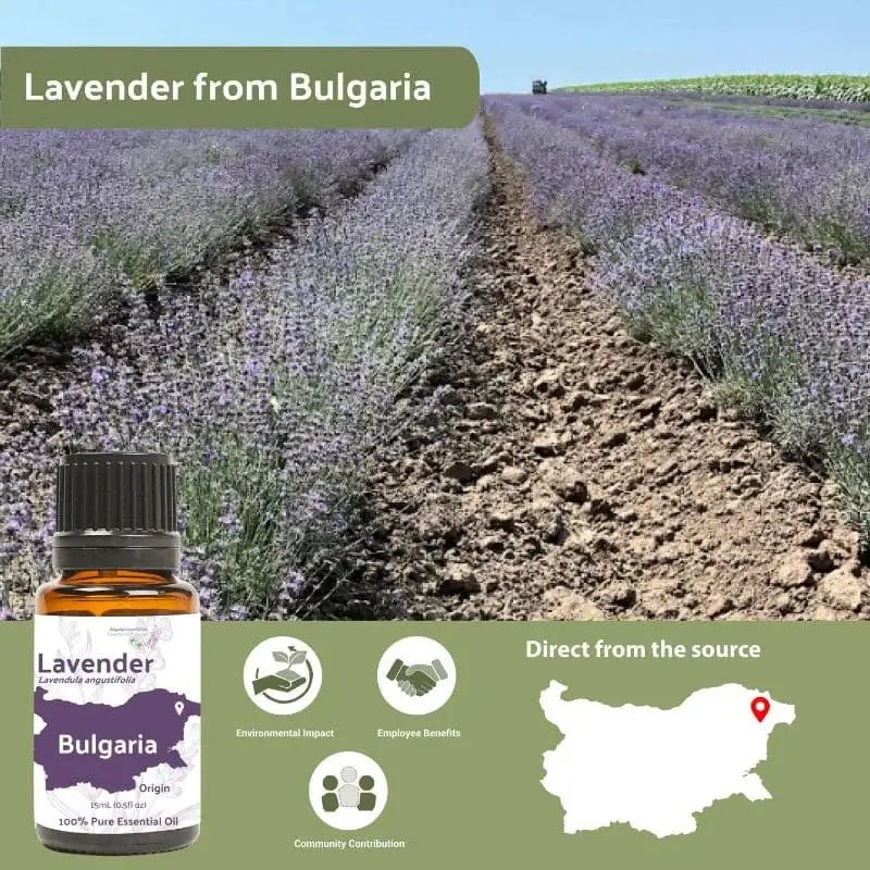 Lavender (Bul) Essential Oil - From Bulgarian Essential Oils - Nature Packaged