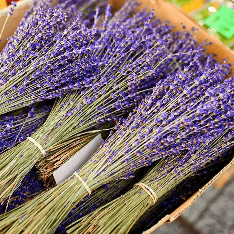 Lavender (Bul) Essential Oil - From Bulgarian Essential Oils - Nature Packaged