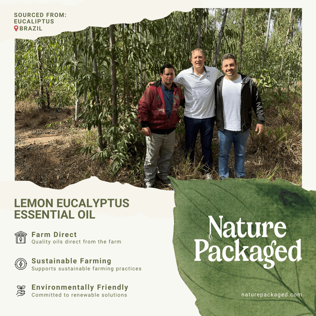Lemon Eucalyptus Essential Oil - From Eucaliptus - Nature Packaged
