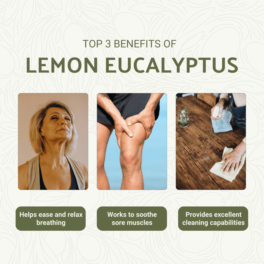 Lemon Eucalyptus Essential Oil - From Eucaliptus - Nature Packaged