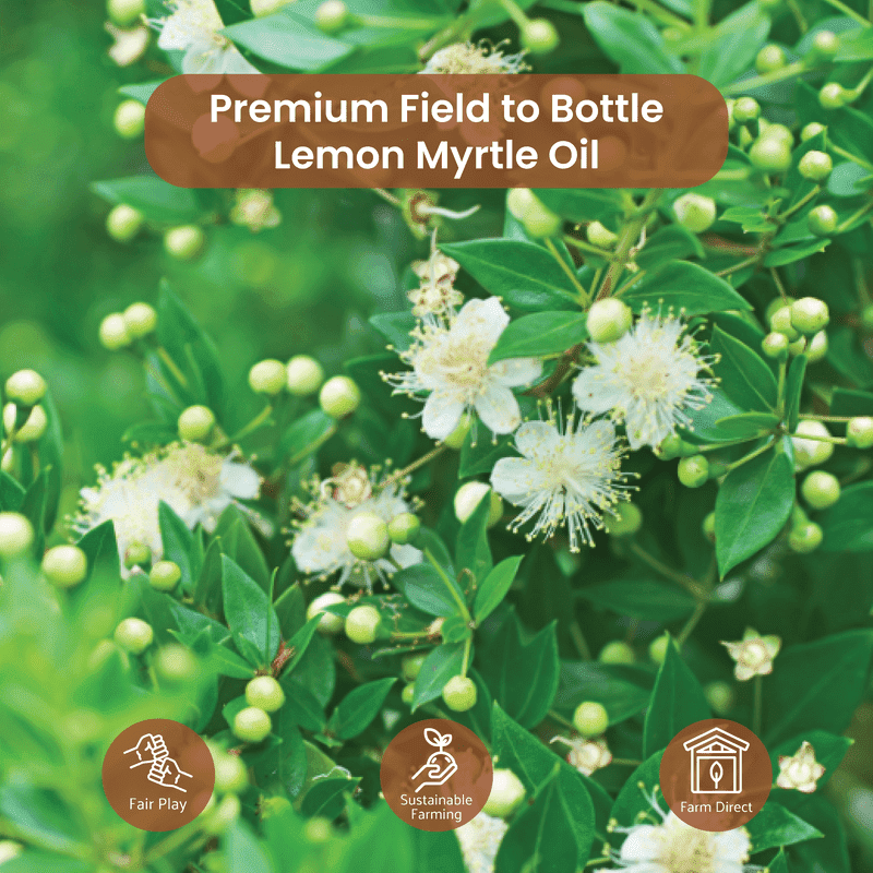 Lemon Myrtle Essential Oil - From Australian Oils Of Nature - Nature Packaged