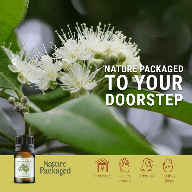 Lemon Myrtle Essential Oil - From Australian Oils Of Nature - Nature Packaged