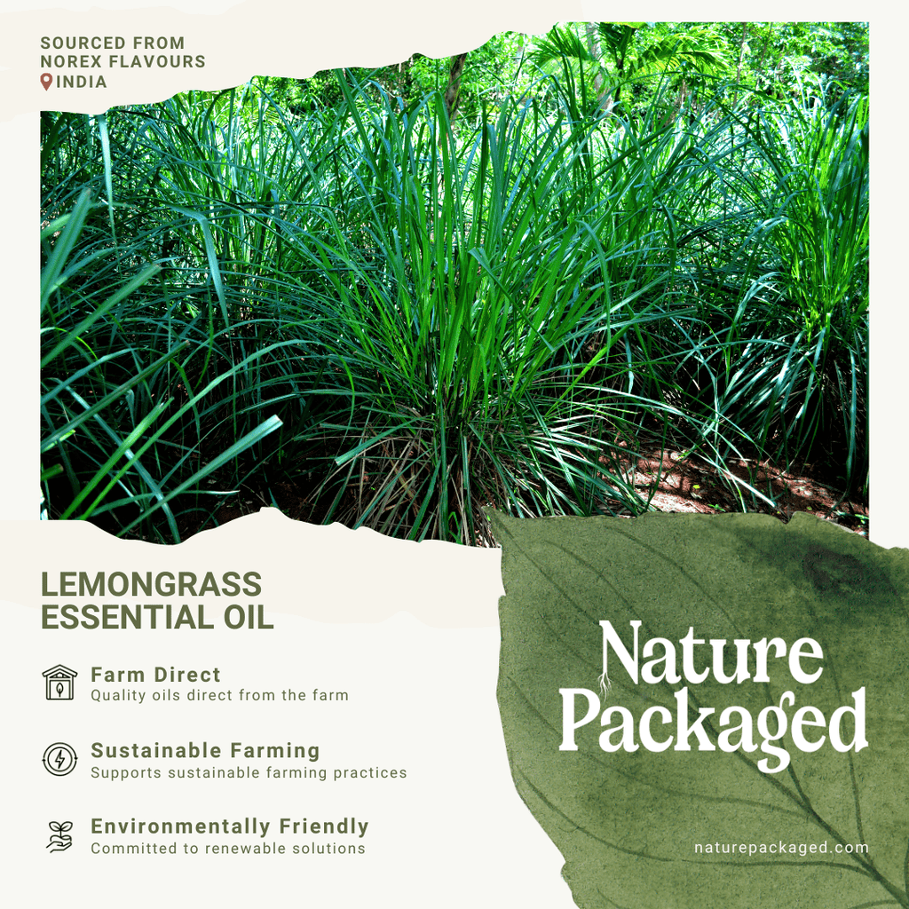 Lemongrass Essential Oil - From Norex Flavours - Nature Packaged