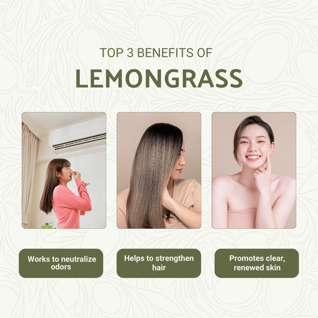Lemongrass Essential Oil - From Norex Flavours - Nature Packaged