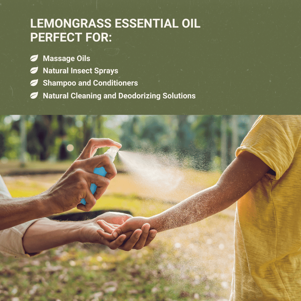 Lemongrass Essential Oil - From Norex Flavours - Nature Packaged