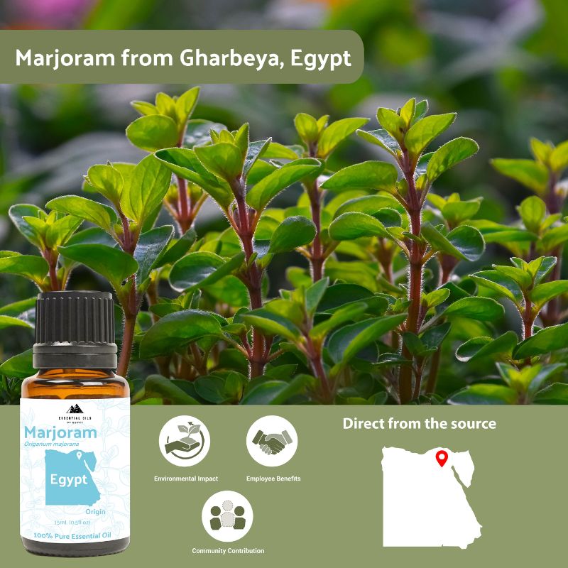 Marjoram Essential Oil - Essential Oils Egypt - Nature Packaged
