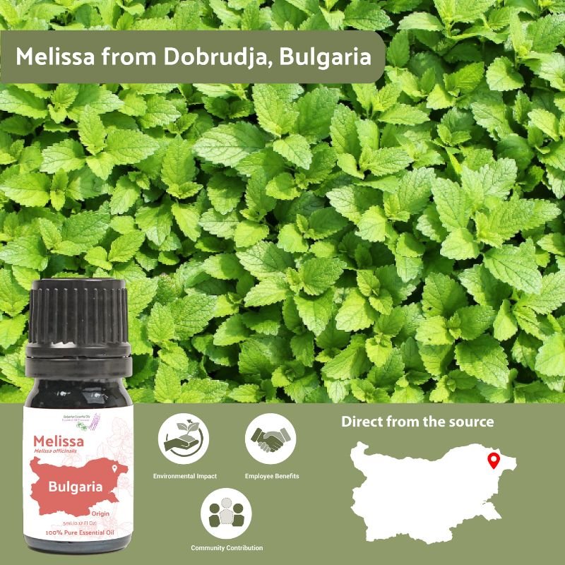 Melissa Essential Oil - From Bulgarian Essential Oils - Nature Packaged