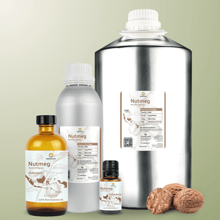 Nutmeg Essential Oil - From Indonesian Essential Oils