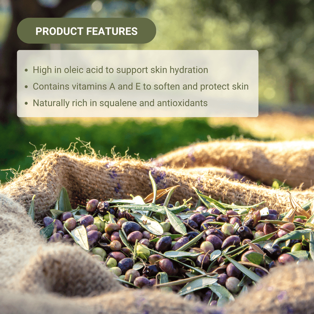 Olive Carrier Oil - From EIR Oils - Nature Packaged