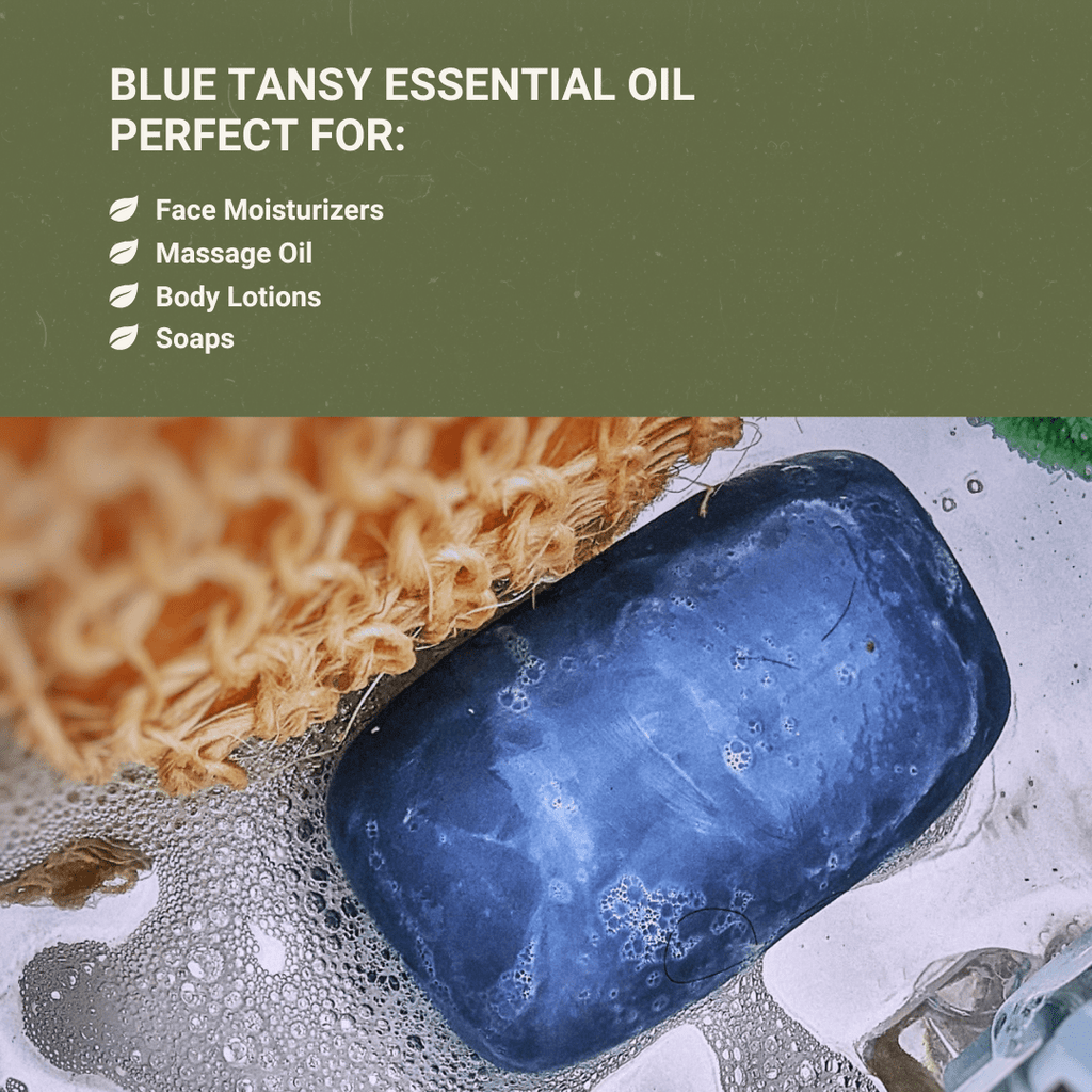 Organic Blue Tansy Essential Oils - From Malagassi Essential Oil - Nature Packaged