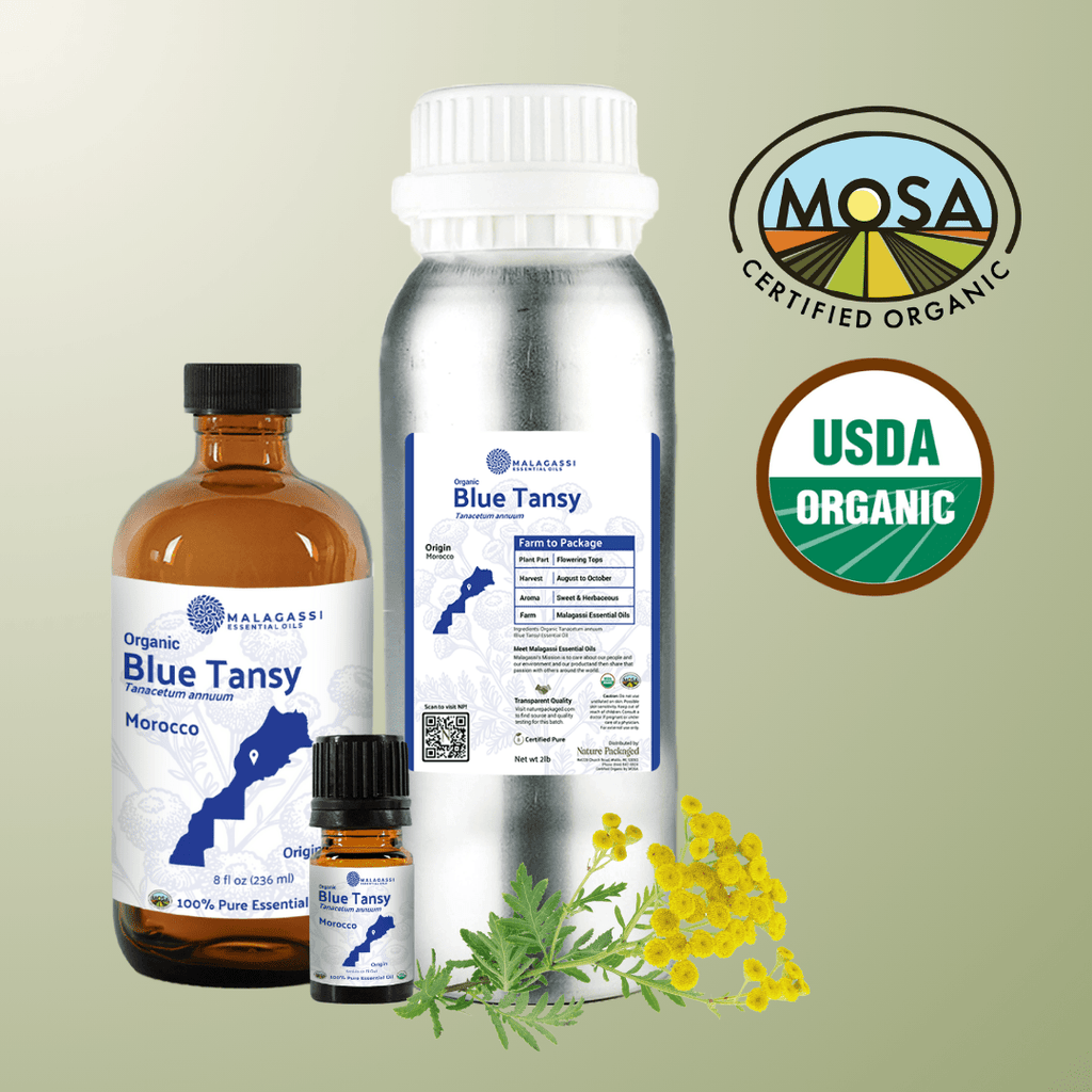 Organic Blue Tansy Essential Oils - From Malagassi Essential Oil - Nature Packaged