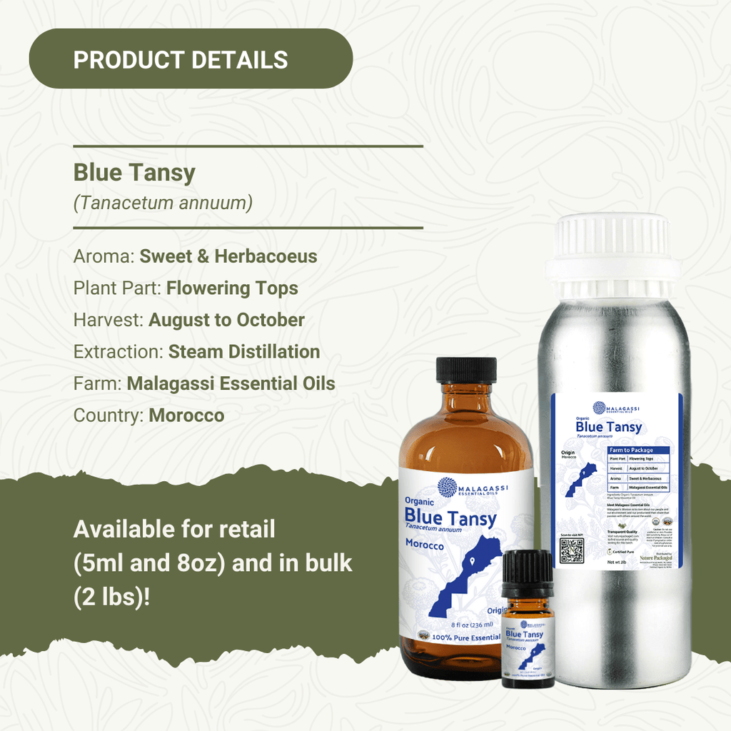 Organic Blue Tansy Essential Oils - From Malagassi Essential Oil - Nature Packaged