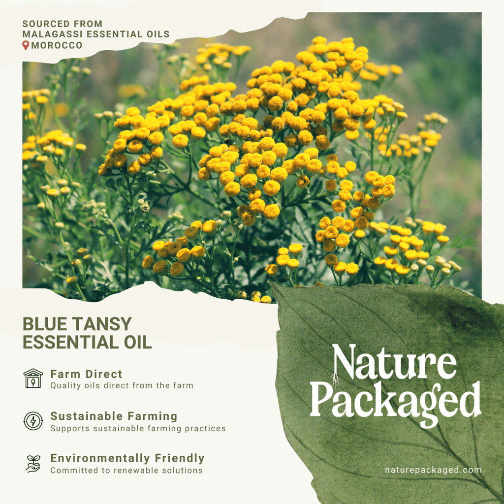 Organic Blue Tansy Essential Oils - From Malagassi Essential Oil - Nature Packaged