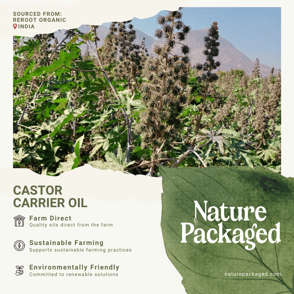 Organic Castor Carrier Oil - From Reroot Organic - Nature Packaged