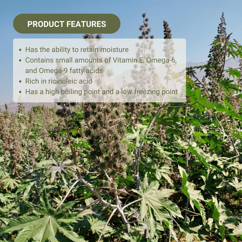 Organic Castor Carrier Oil - From Reroot Organic - Nature Packaged