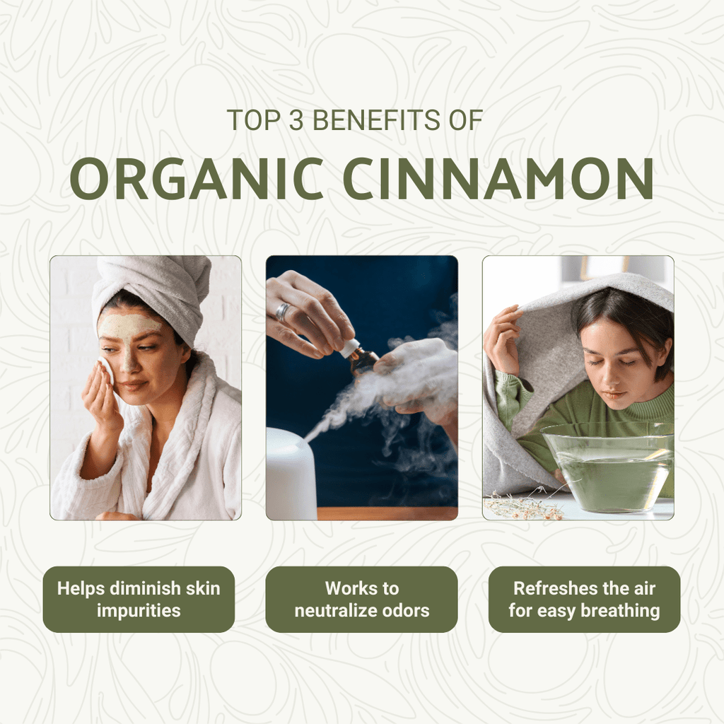 Organic Cinnamon Essential Oil - From HDdeS - Nature Packaged