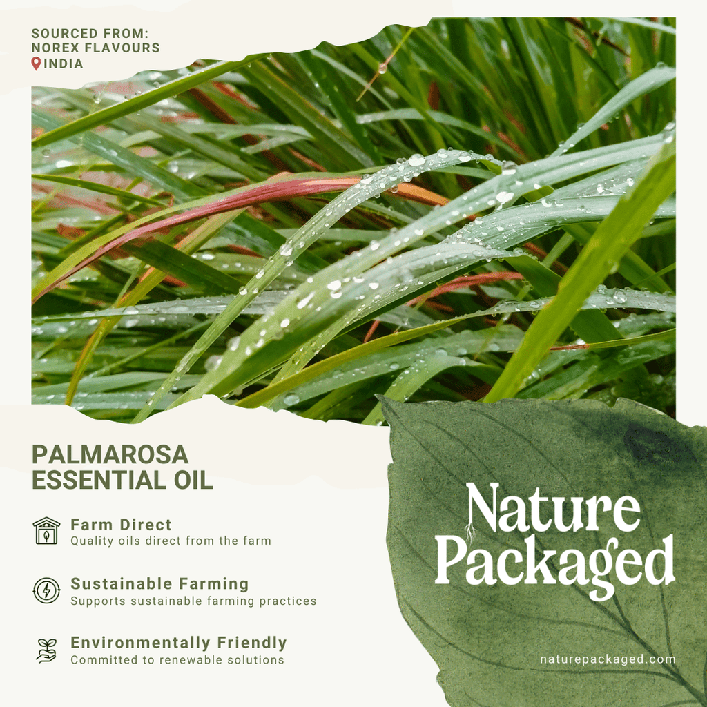 Palmarosa Essential Oil - From Norex Flavours - Nature Packaged