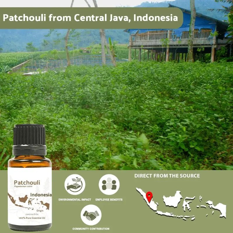 Patchouli Essential Oil - From Indonesian Essential Oils - Nature Packaged