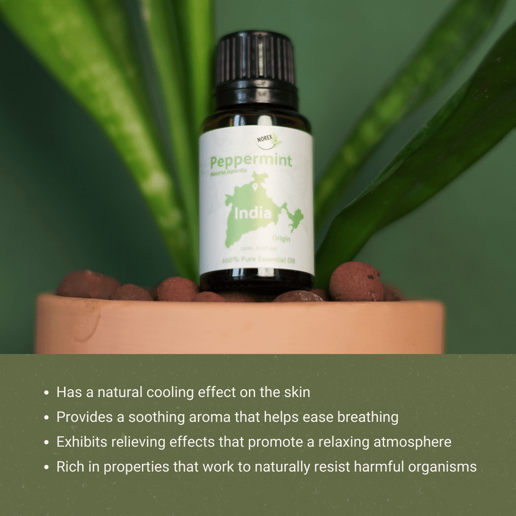 Peppermint Essential Oil - From Norex Flavours - Nature Packaged