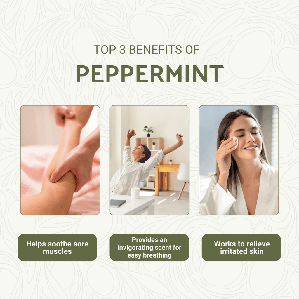Peppermint Essential Oil - From Norex Flavours - Nature Packaged