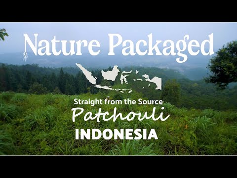 Nature Packaged Patchouli Essential Oi