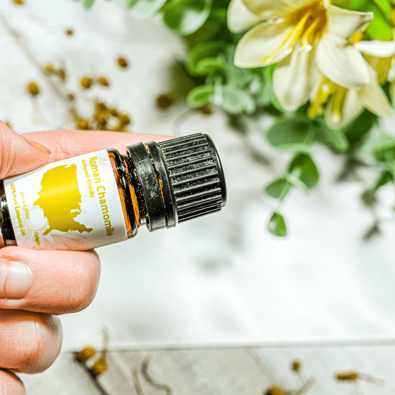 Roman Chamomile Essential Oil - From Essential Oils Oregon, USA - Nature Packaged